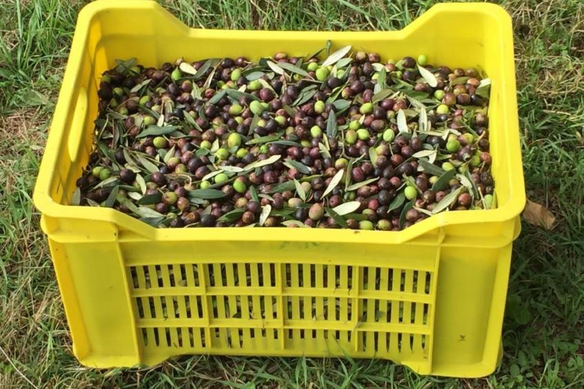 Unabhaengige Wohnung in Amelia mit Grill und Gar - foto 16