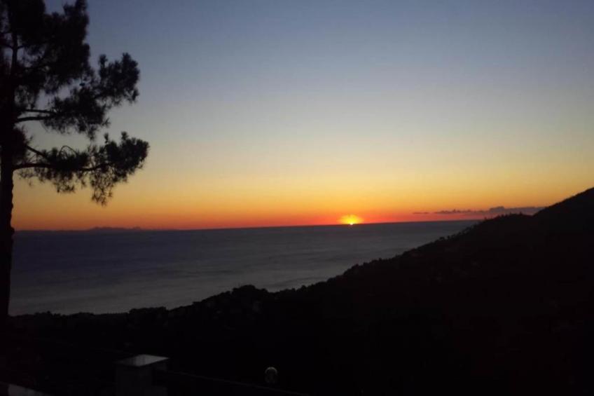 Nidino del Gufo - foto 22