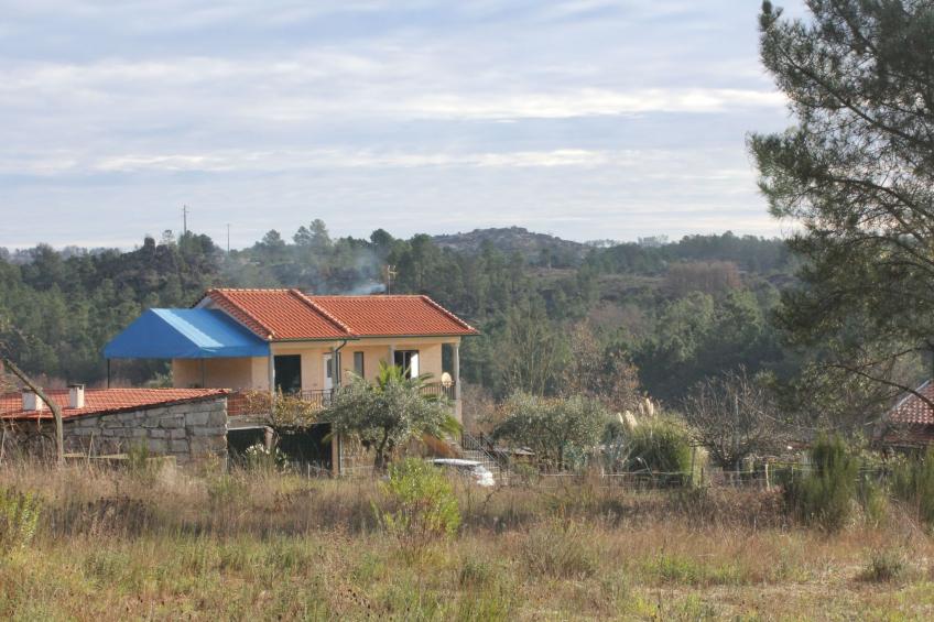 Ferien auf dem Bauernhof mit Weinberg