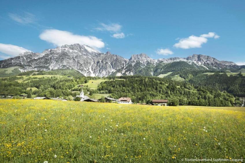 Doppelzimmer "Ziegen-Bartl" in Saalfelden - foto 24