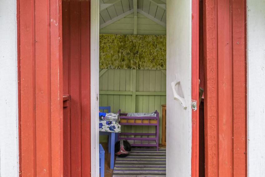 Tervapääsky - foto 34