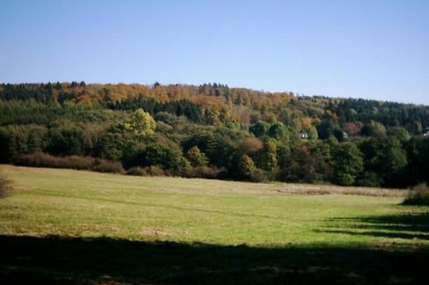 FEWO Juliana - foto 9