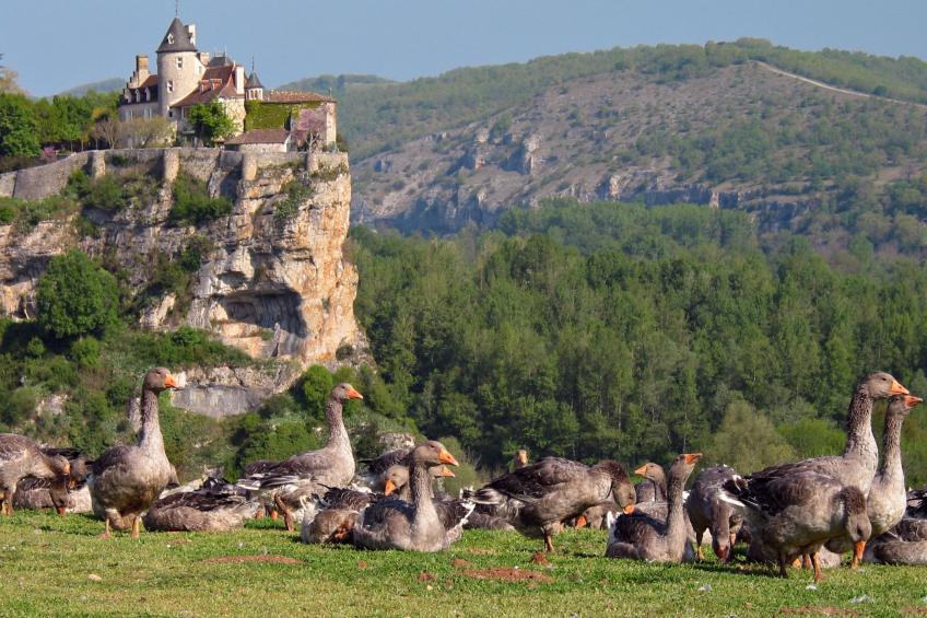 Les Eyzies de Tayac Clos du Rocher S4H - foto 24