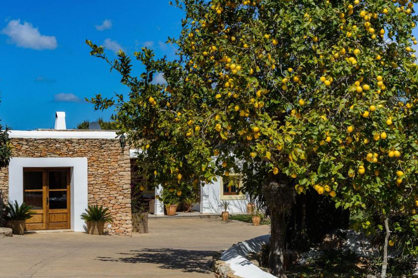 VILLA CAN FITA - foto 15