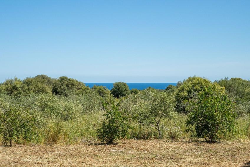 Villa Sae Grecu in Orosei - foto 8