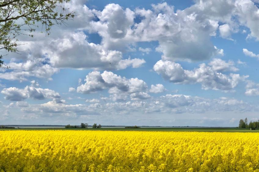 "Saaler Bodden" - foto 42