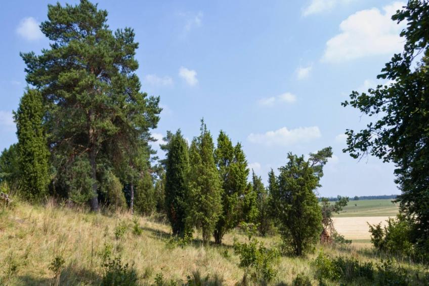 Eifel-Finca mit Whirlpool und Gartenlounge - foto 30