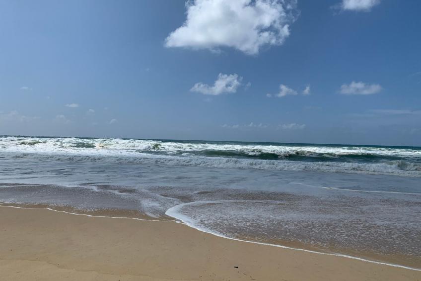 La Maison Pinède - foto 35