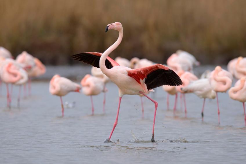 Les Rives du Lac - foto 19