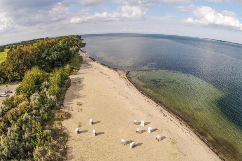 im Grünen 2 - foto 37