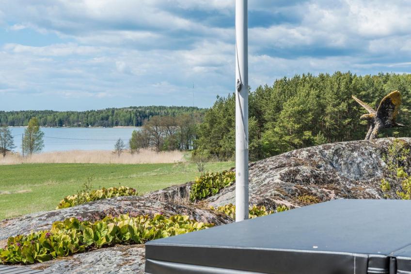 Villa pääsky - foto 6