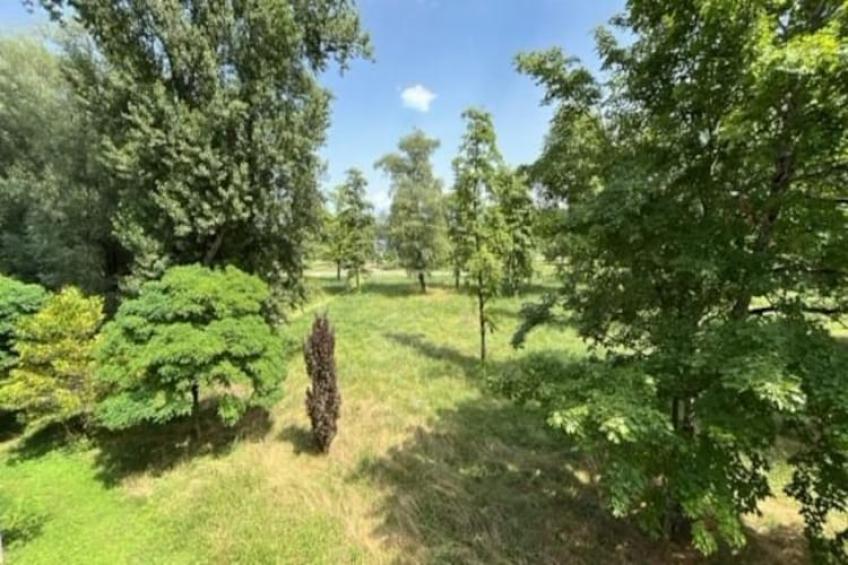 Adonis Divonne-les-Bains T2 Park side - foto 25