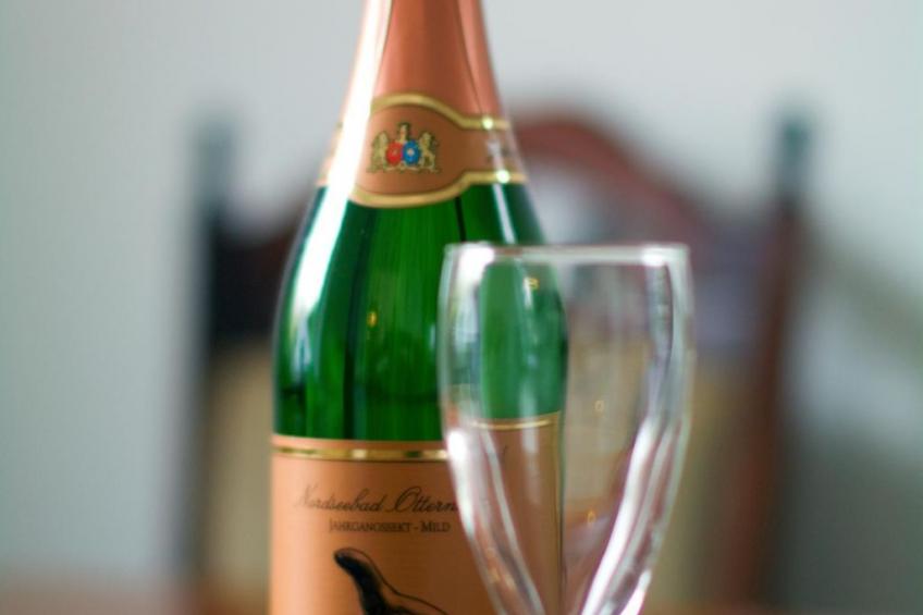 Großes Ferienhaus in Müggendorf mit Garten - foto 4