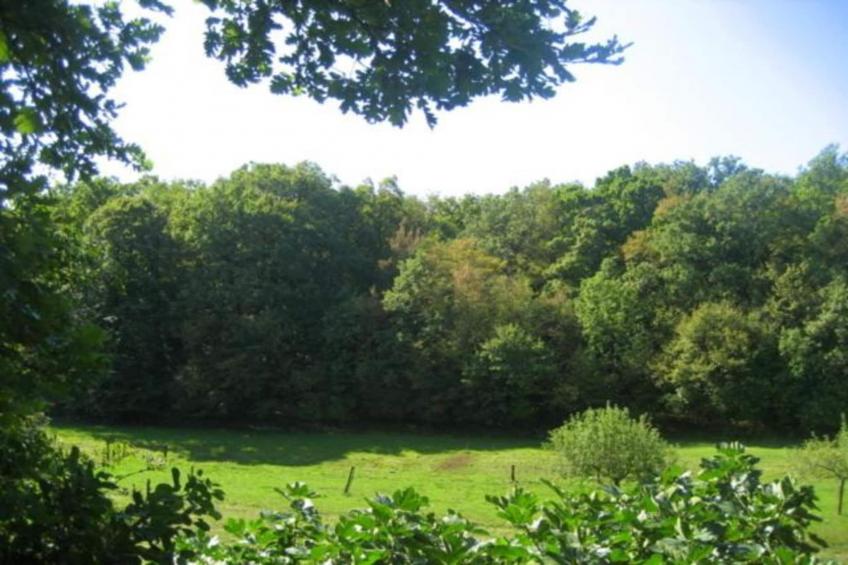 Les Balcons d'Auréa - foto 39