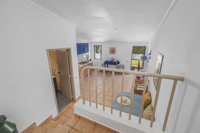 Jardim do Sul - foto 13