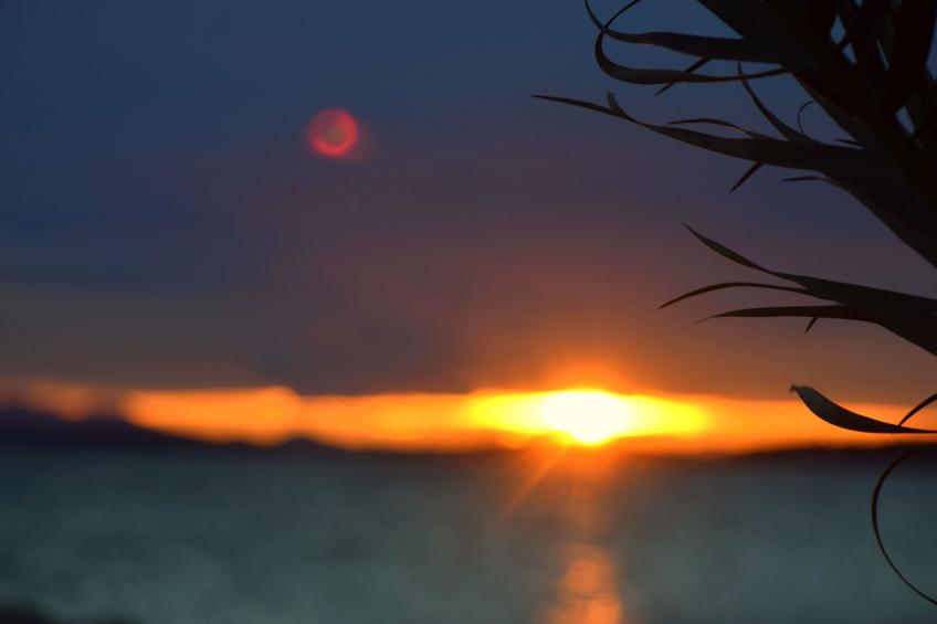 in Dobropoljana mit Privatem Pool - foto 35