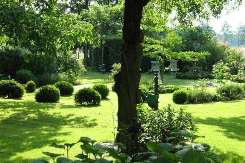 in ehemaliger Dorfschule am Dorfrand - foto 16