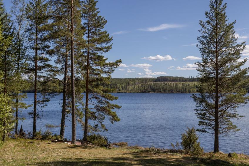 Torsmogården - foto 34