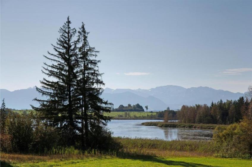 Am Berghof - foto 24