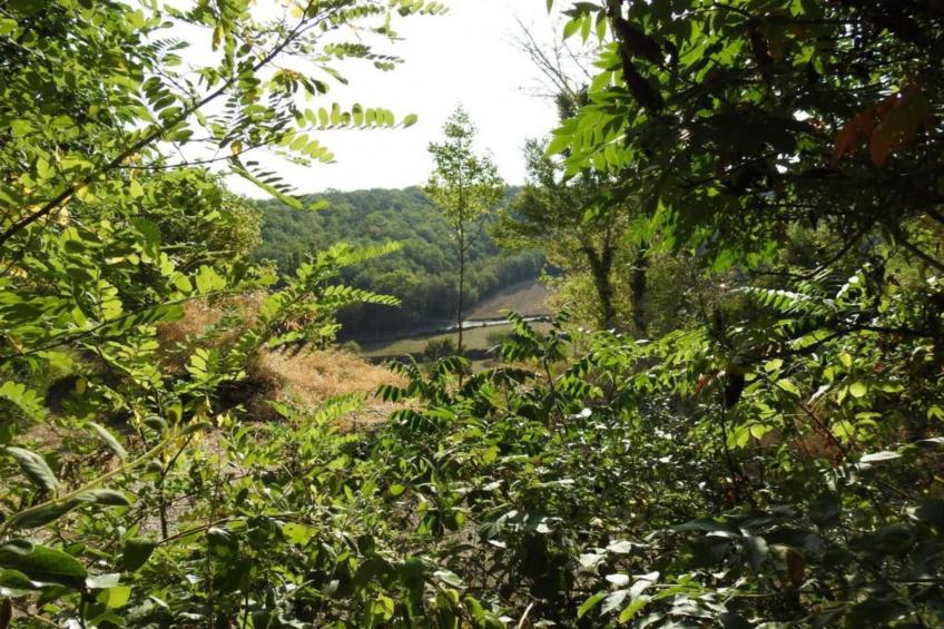 Maison de vacances - BESSE 4 pers - foto 23