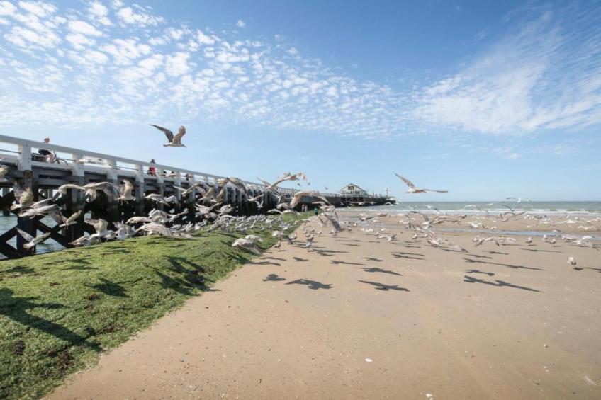 RESIDENCE BEACH - I7 - foto 29