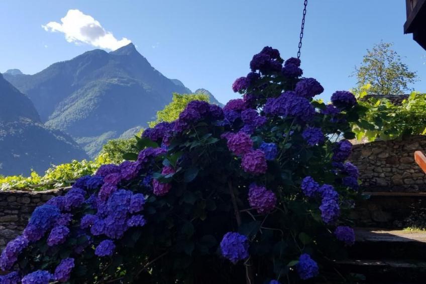 Casa Giardino Grande - foto 17