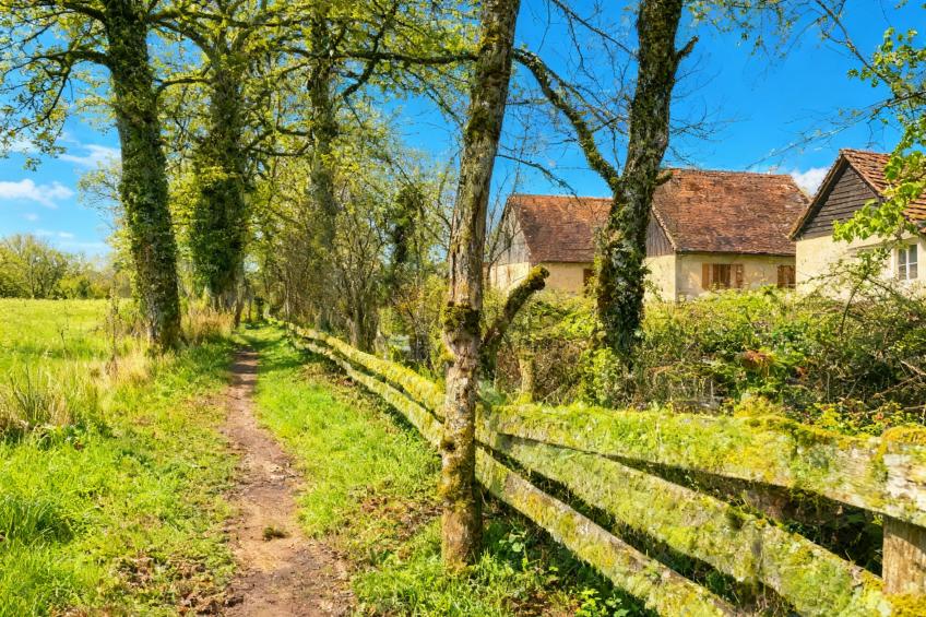 Lac Bleu nr 18 - foto 15