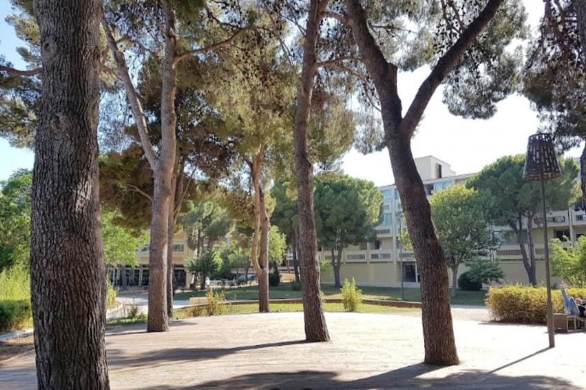 Appart'hôtel Odalys Colombélie - foto 6