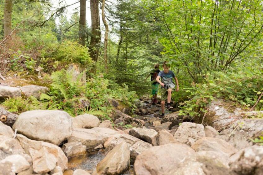 Domaine Des Messires 2 - foto 29