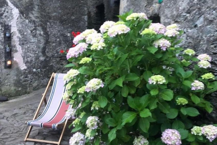 Wohnung "Authentisches korsisches Haus" - foto 6