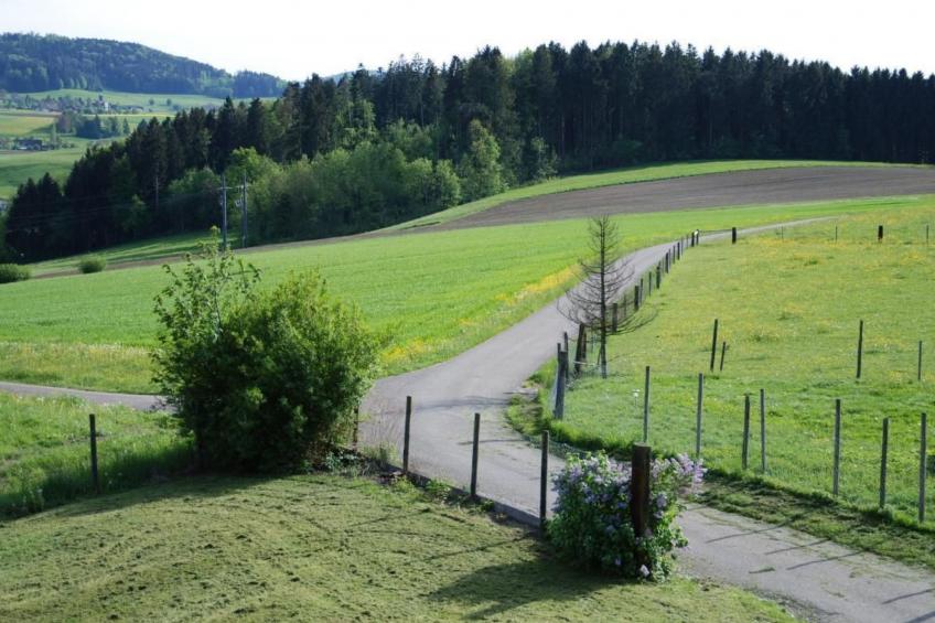 Summerhalde - foto 2