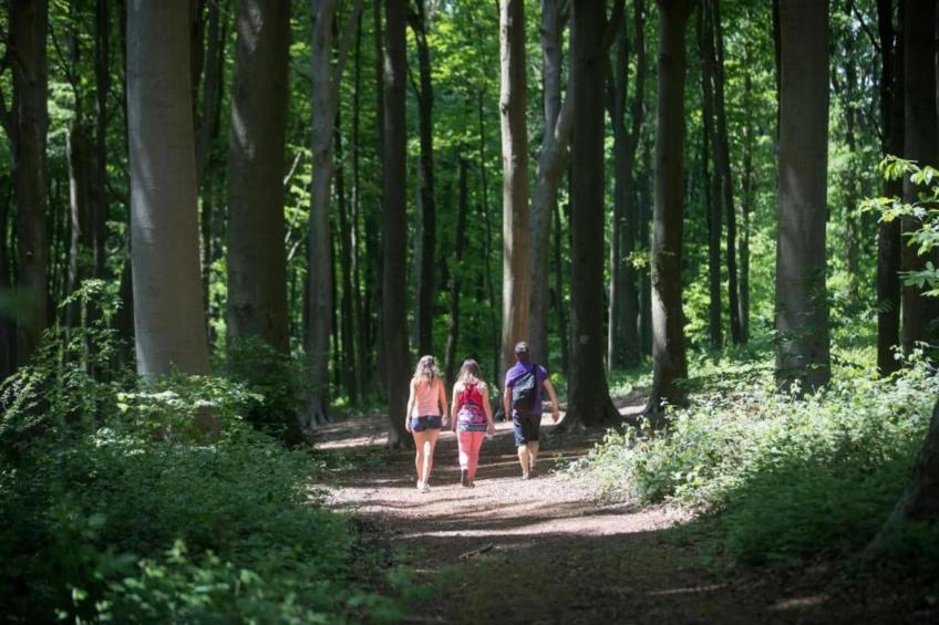 Het Bloesemklooster - foto 40