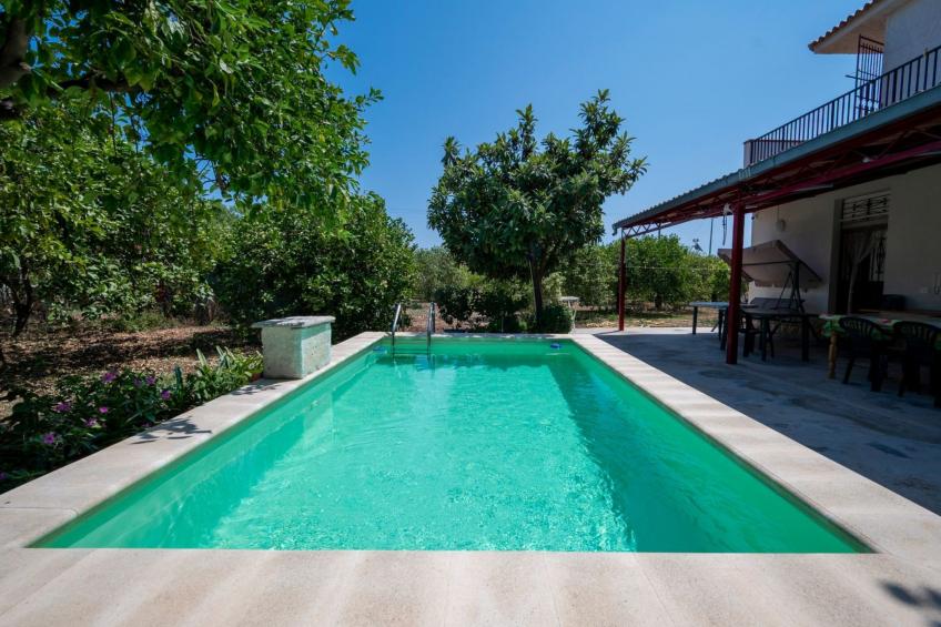 Der Zitronenhain von Nonno Corrado