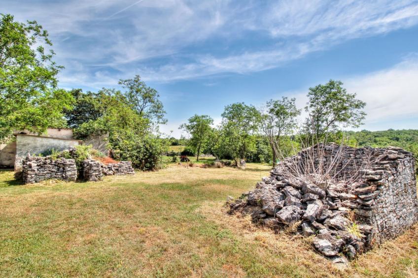 Das Haus im Wald - foto 41