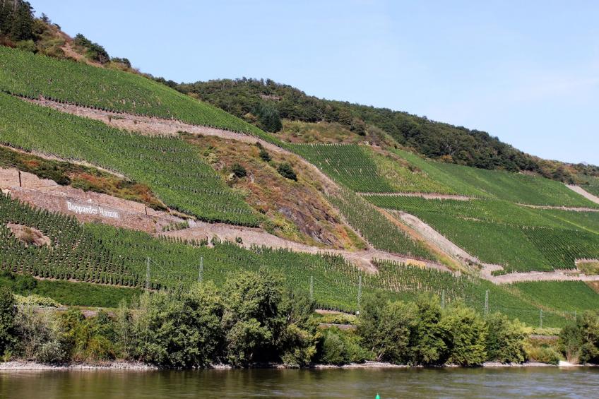 Moderne Wohnung mit Parkplatz und Rheinblick - foto 86