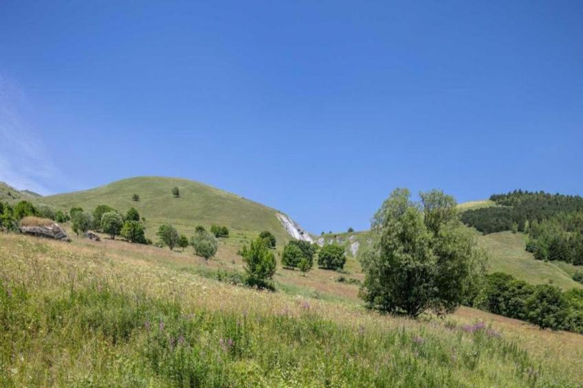 Les Marmottes N°42 - 3P6 - foto 32