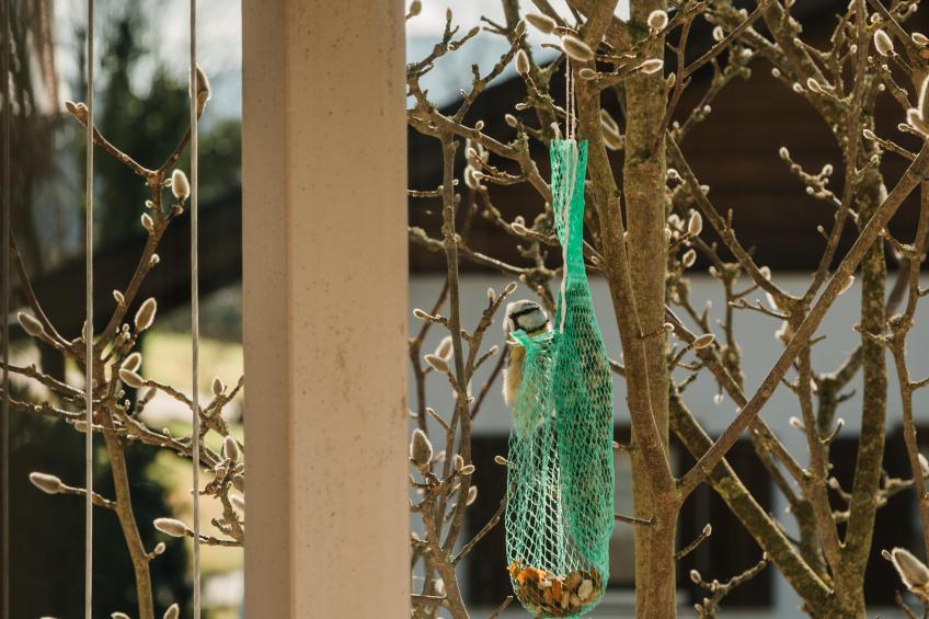 Im Bayerischen Wald - foto 26