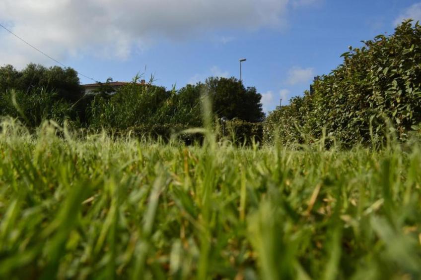 Gallurabilo - foto 39