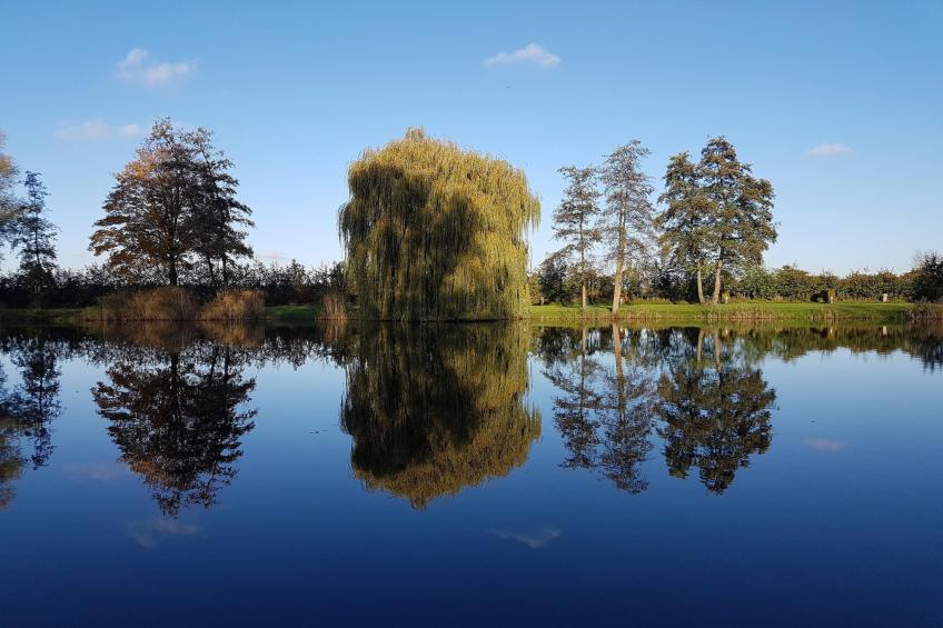 Ranger Lodge 6 pax - foto 6