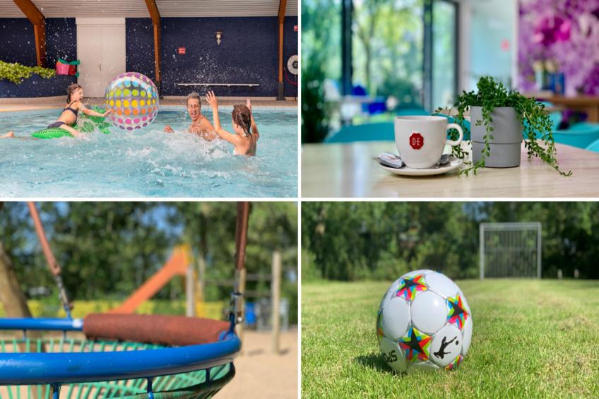 Campanula 136 - foto 19