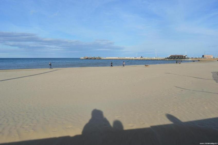 Vanessa Coccinella - foto 38