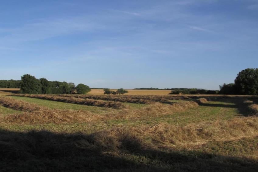 La Campagne - foto 25