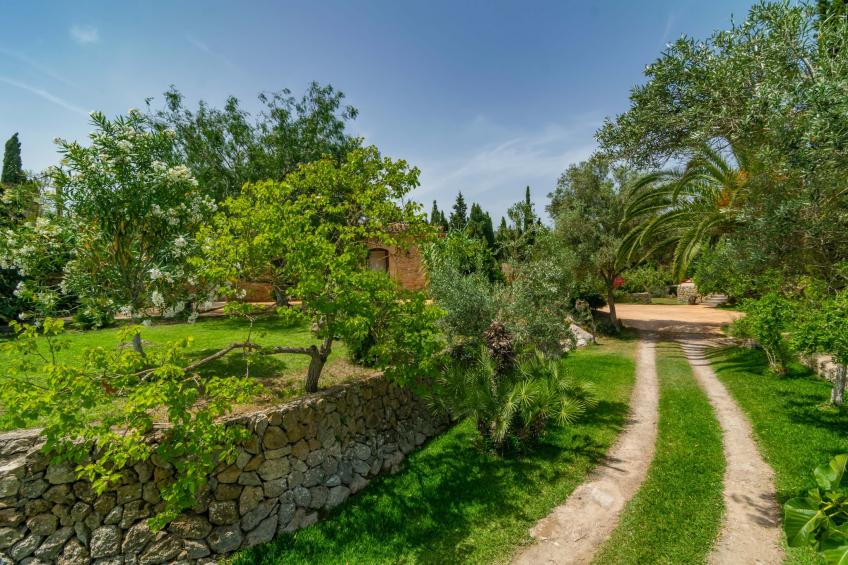 Sa Tortugueta - foto 56