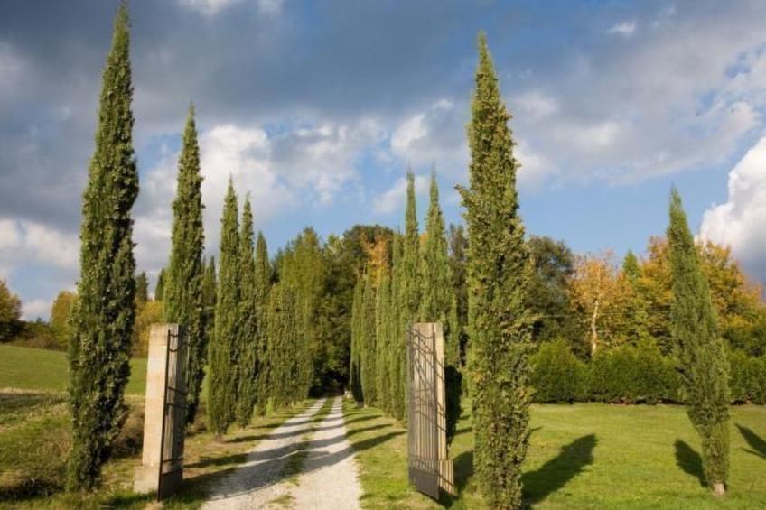 Freistehendes Ferienhaus Villa Borgatti - foto 32