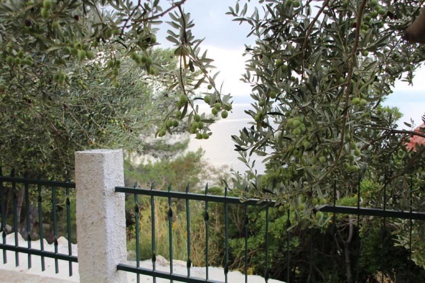 Apartments Tafra - One Bedroom Apartment 4 - foto 20