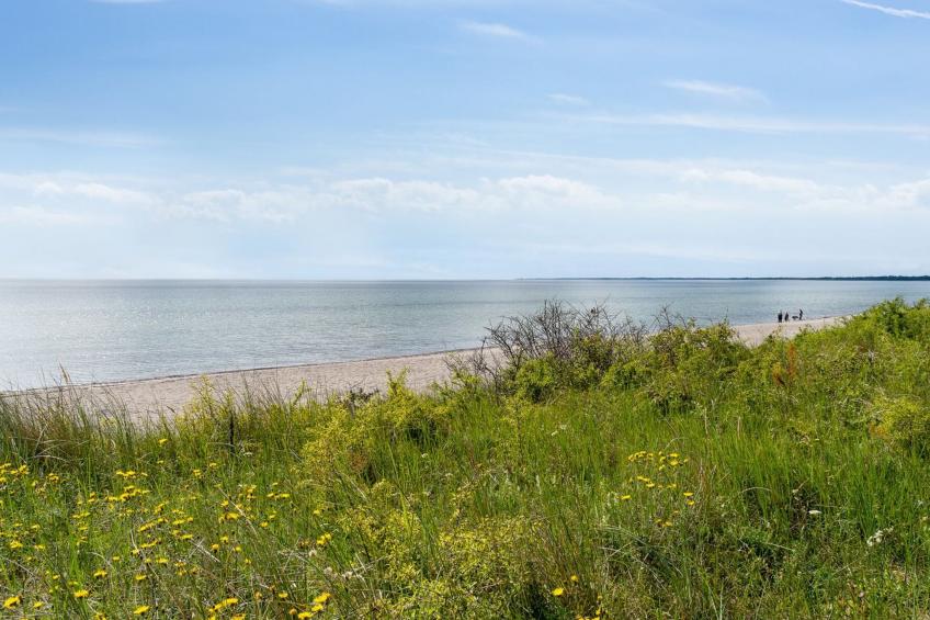 "Rother" - 50m from the sea in Lolland, Falster and Mon - foto 35