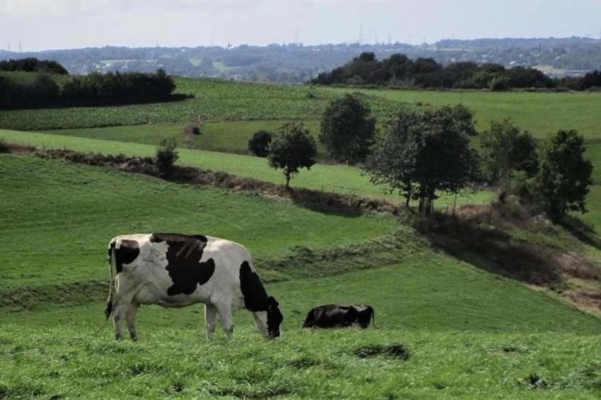 Magnifique habitation pour 5 adultes avec piscine intérieure - foto 38