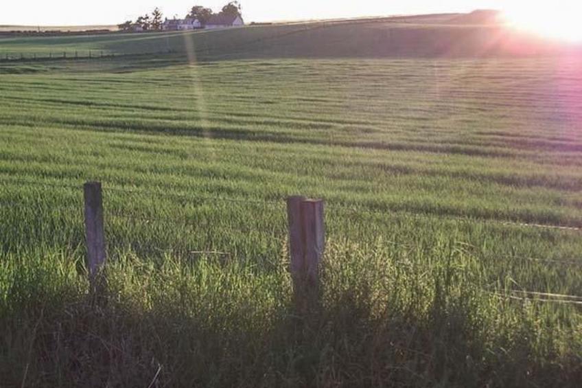 "Der Kornspeicher" mit Terrasse - foto 27