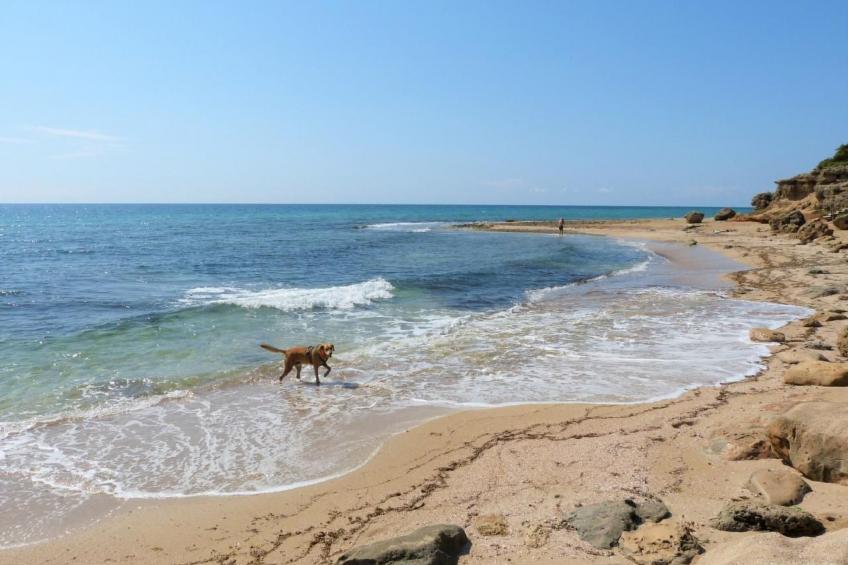 Villa Lona - foto 46