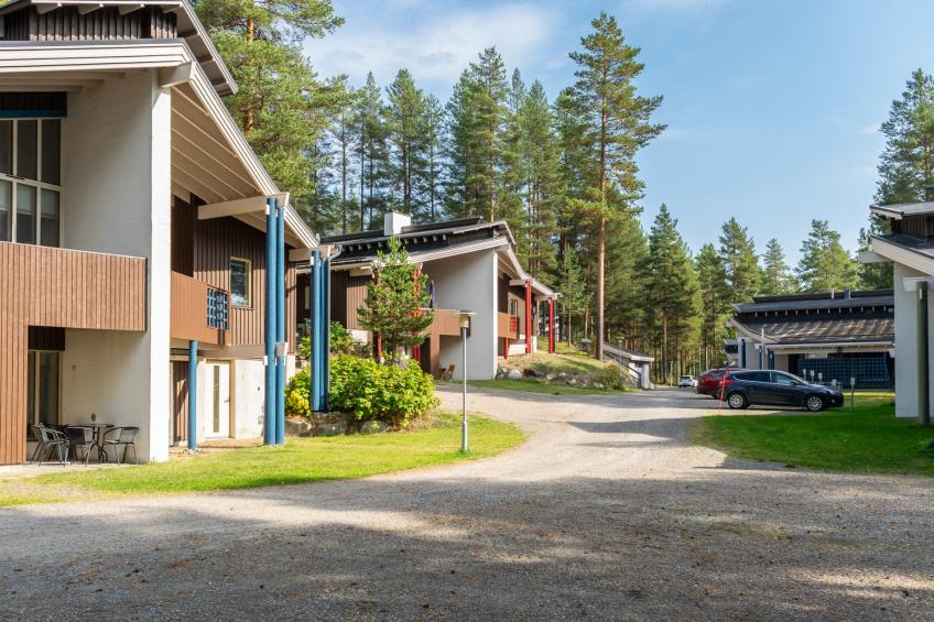 Koli, hiisiranta b3 - foto 52